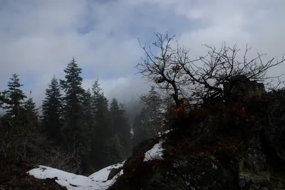 DSC_0870 (Large).JPG